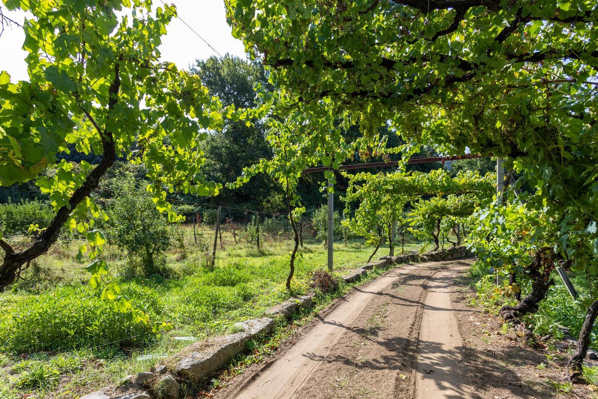 Quinta Da Comenda Sao Pedro do Sul Bagian luar foto