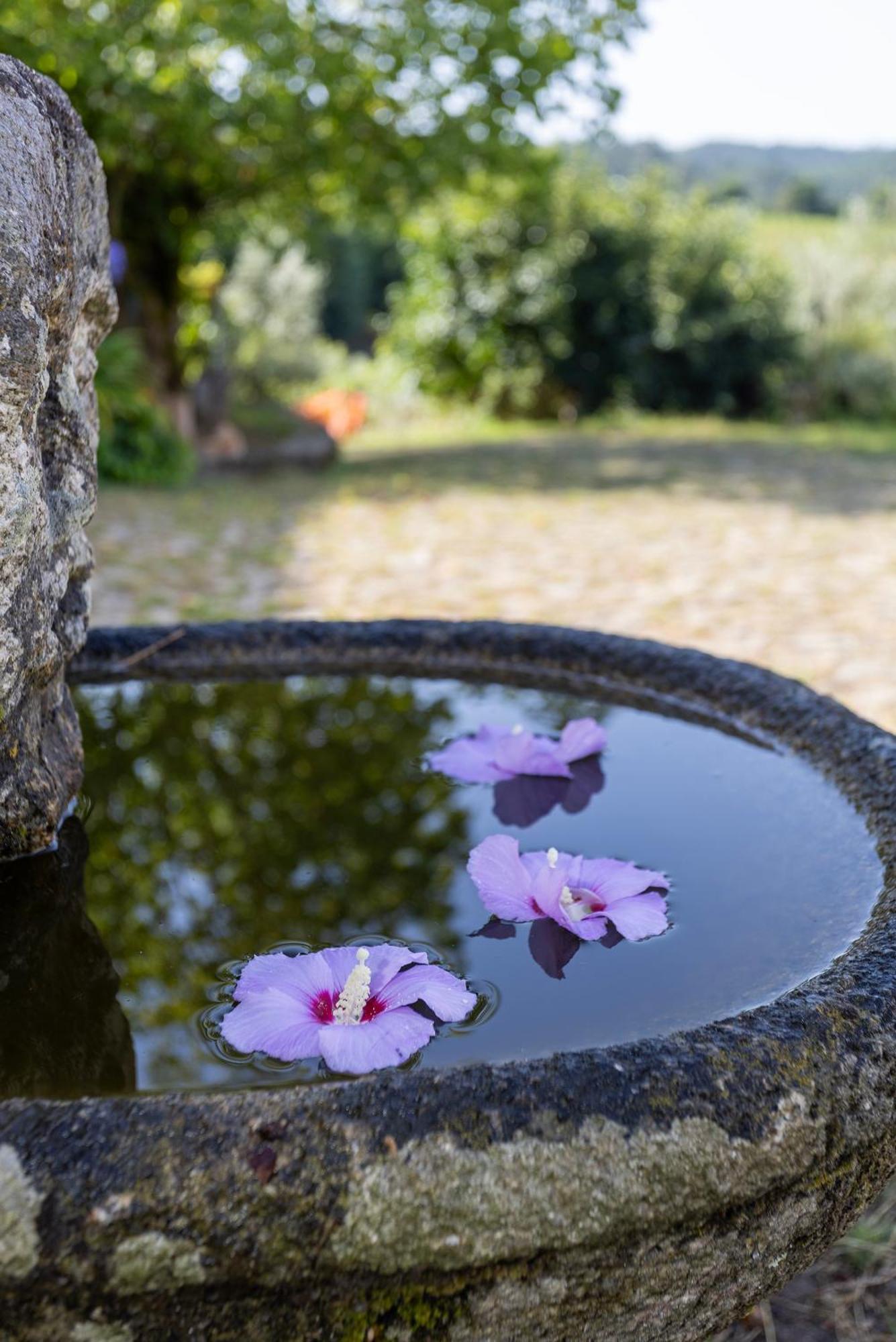 Quinta Da Comenda Sao Pedro do Sul Bagian luar foto