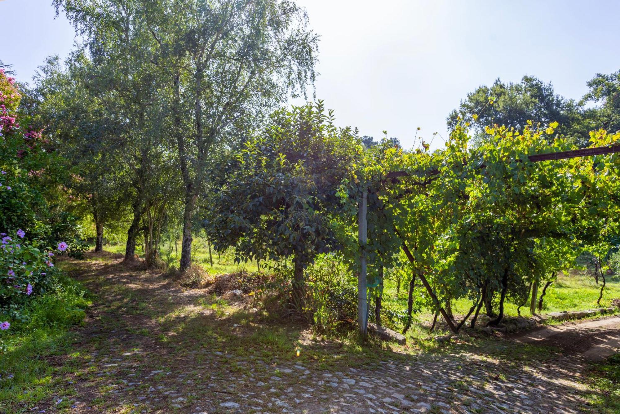Quinta Da Comenda Sao Pedro do Sul Bagian luar foto