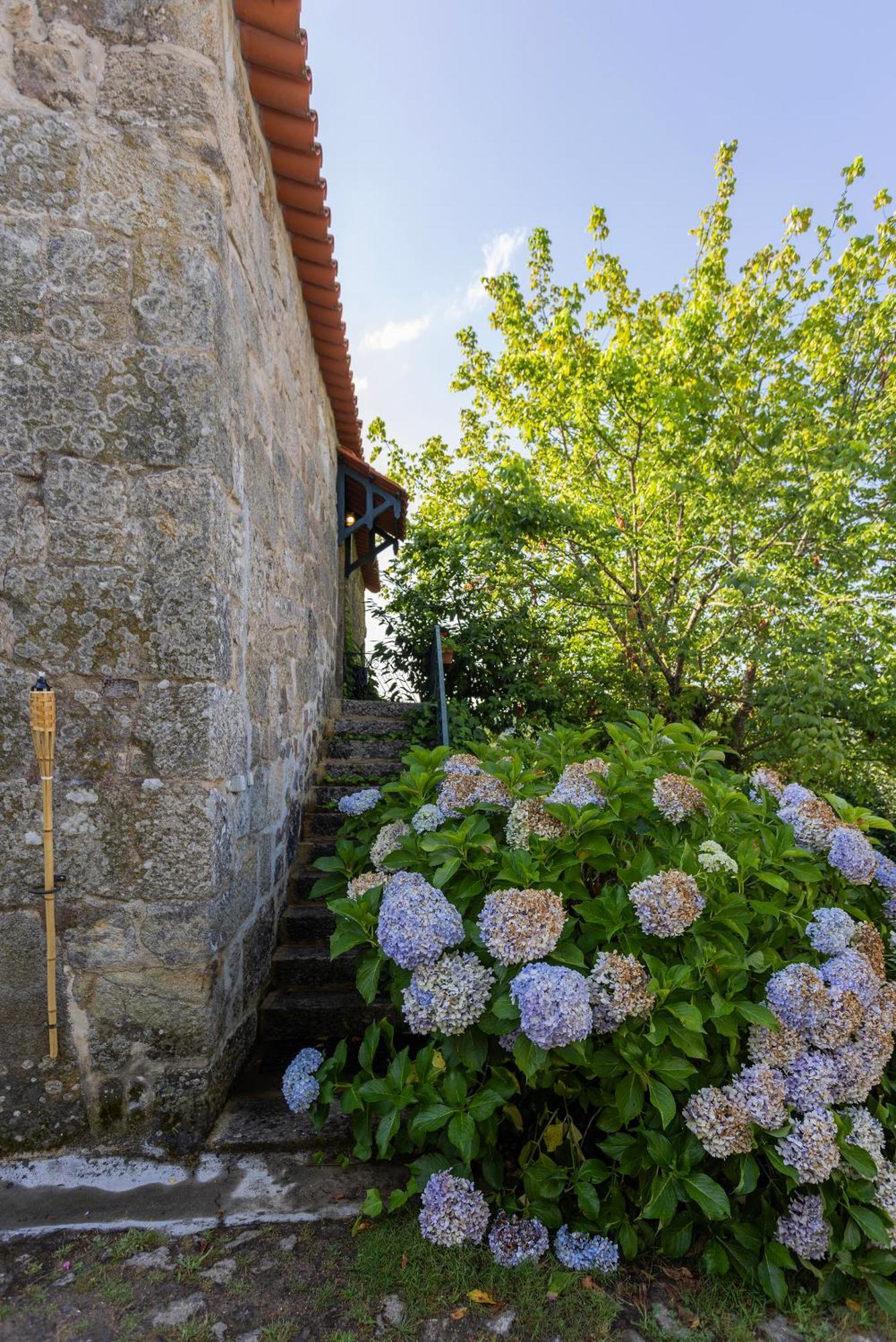Quinta Da Comenda Sao Pedro do Sul Bagian luar foto